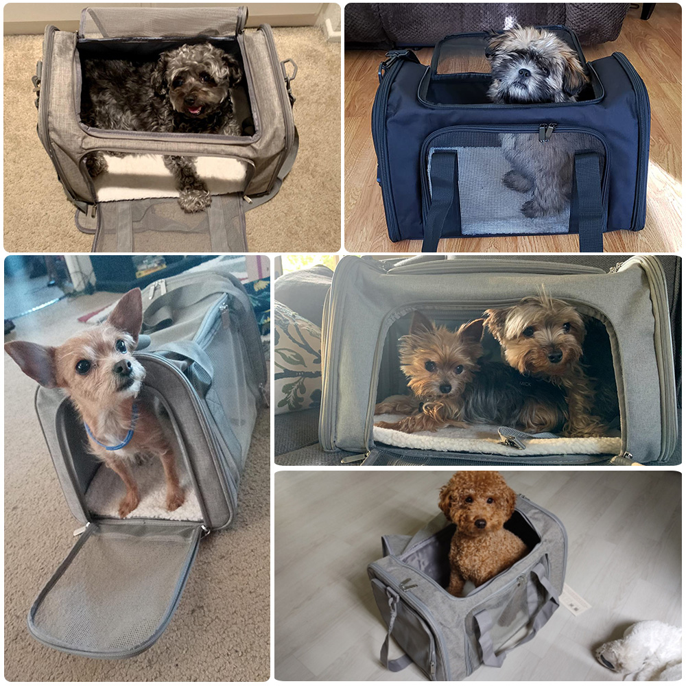 Hundetragetasche, weiche Seiten, Hundetragetaschen, Hundetragetaschen, von der Fluggesellschaft zugelassener Transport für kleine Hunde und Katzen
